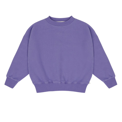 Art Bird Sweater van Jenest - Donkerpaarse sweater met kleurrijke vogelprint op de rug voor meisjes | verkrijgbaar bij Little Fashion Addict