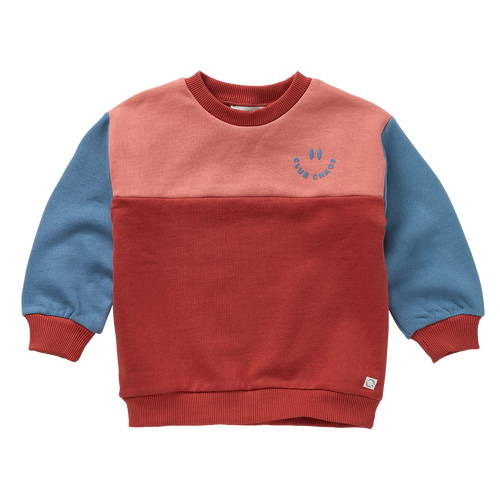 Speelse colourblock sweater in roze, terracotta en blauw uit de Club Chaos collectie van Sproet & Sprout.