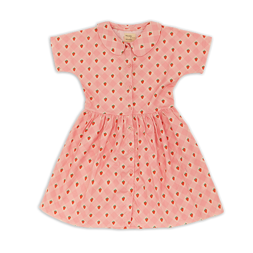Roze jurkje van Wander & Wonder met aardbeienprint en Peter Pan kraag voor meisjes. | Aria Dress Pink Strawberry Check | Verkrijgbaar bij Little Fashion Addict