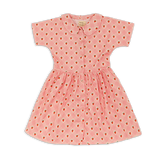 Roze jurkje van Wander & Wonder met aardbeienprint en Peter Pan kraag voor meisjes. | Aria Dress Pink Strawberry Check | Verkrijgbaar bij Little Fashion Addict