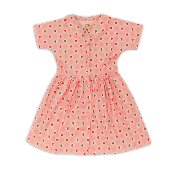 Roze jurkje van Wander & Wonder met aardbeienprint en Peter Pan kraag voor meisjes. | Aria Dress Pink Strawberry Check | Verkrijgbaar bij Little Fashion Addict