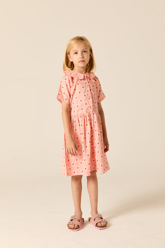 Roze jurkje van Wander & Wonder met aardbeienprint en Peter Pan kraag voor meisjes. | Aria Dress Pink Strawberry Check | Verkrijgbaar bij Little Fashion Addict