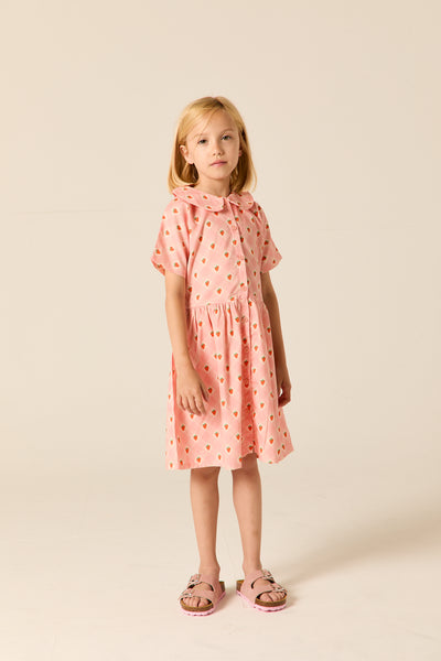 Roze jurkje van Wander & Wonder met aardbeienprint en Peter Pan kraag voor meisjes. | Aria Dress Pink Strawberry Check | Verkrijgbaar bij Little Fashion Addict